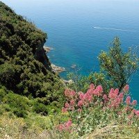 sfeer Bloemenriviera